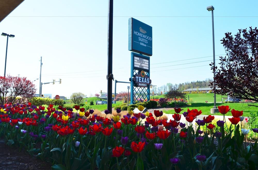 Homewood Suites By Hilton Reading-Wyomissing Extérieur photo
